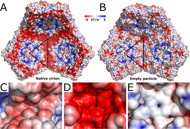 FIG 6