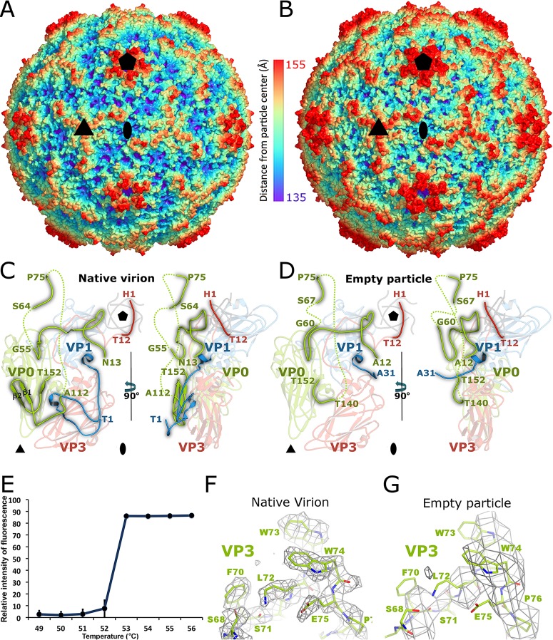 FIG 2