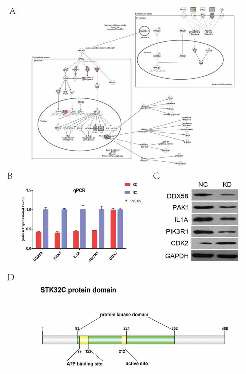 Figure 7.