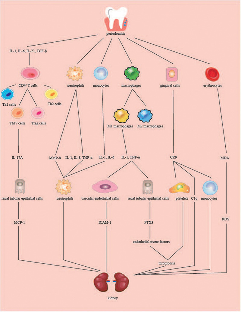 FIGURE 2