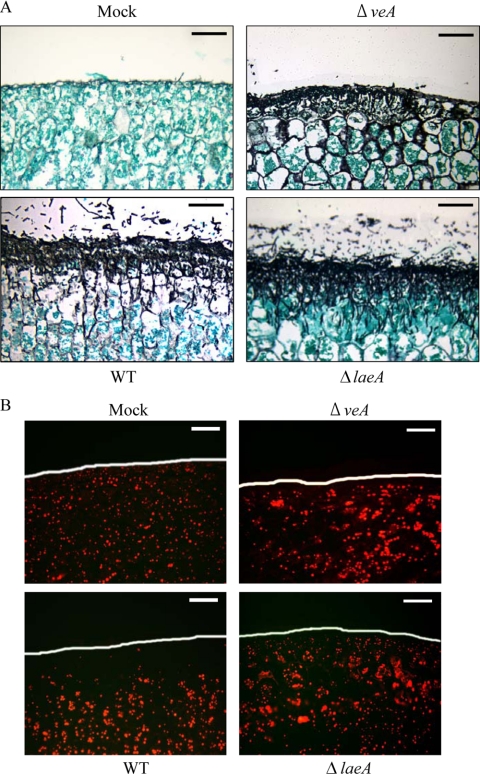 FIG. 7.