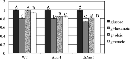 FIG. 8.