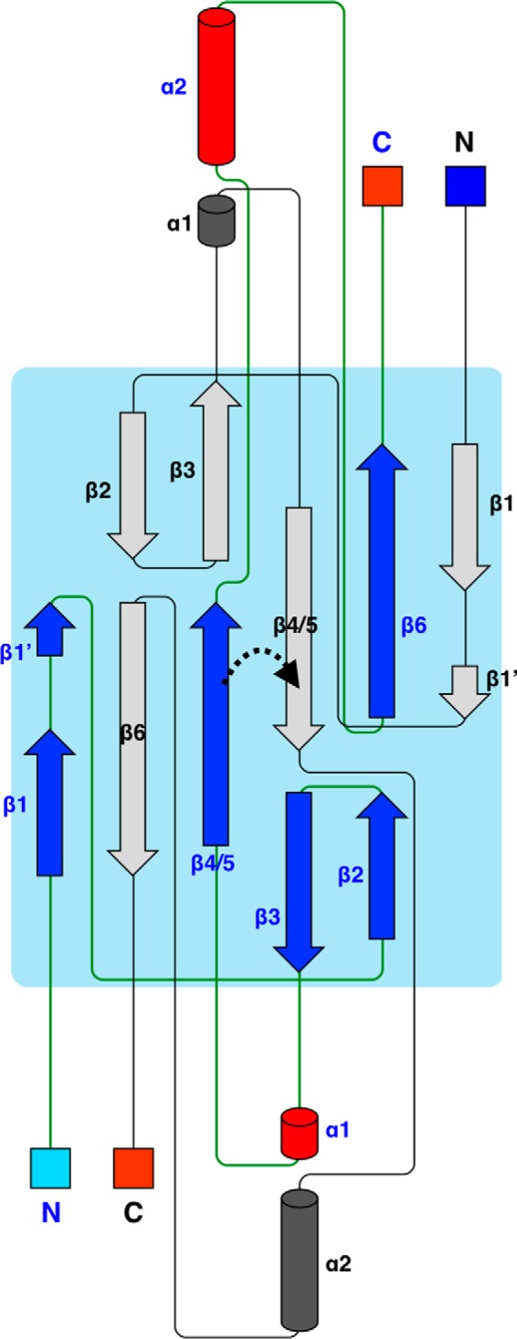 FIGURE 3.