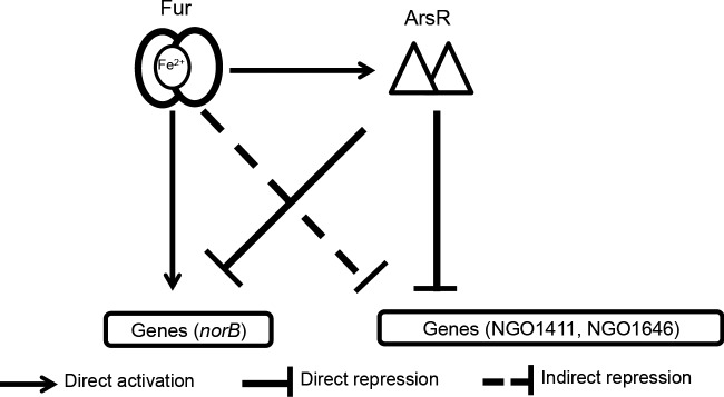 FIG 7