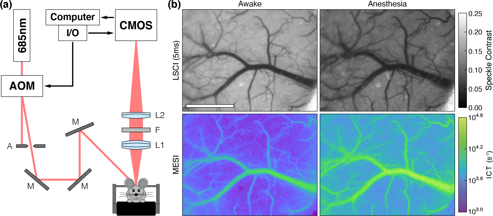 Figure 1: