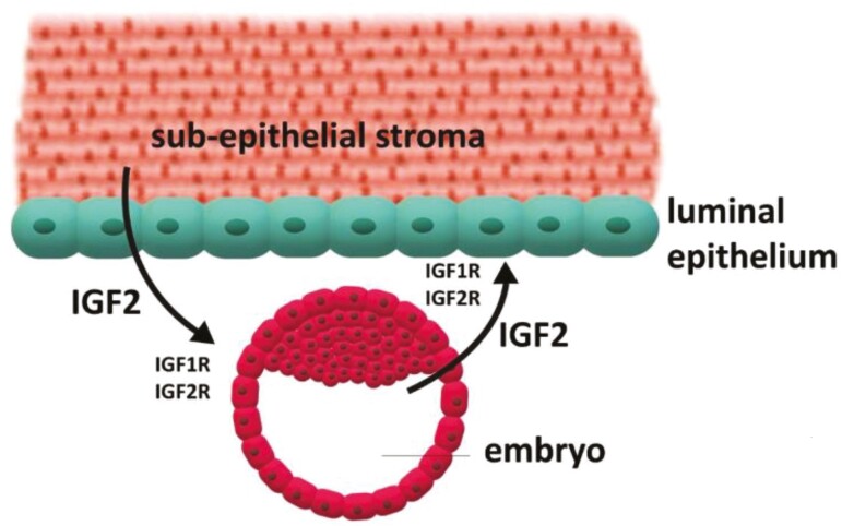 Figure 5.