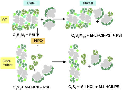 Figure 10.