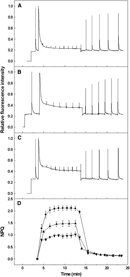 Figure 7.