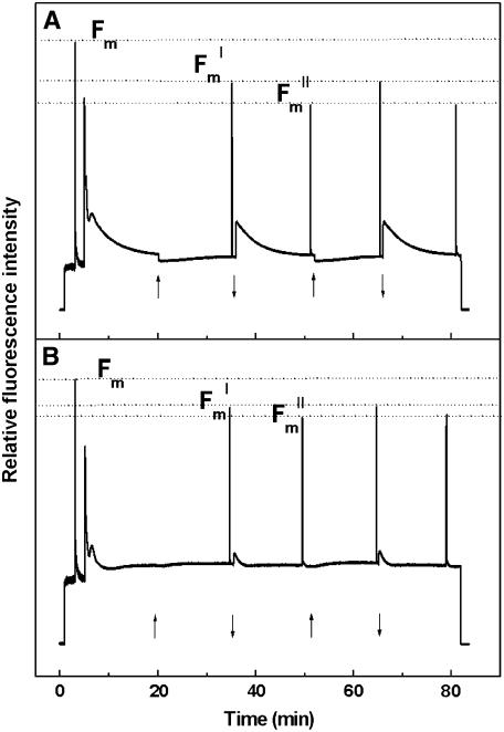 Figure 9.