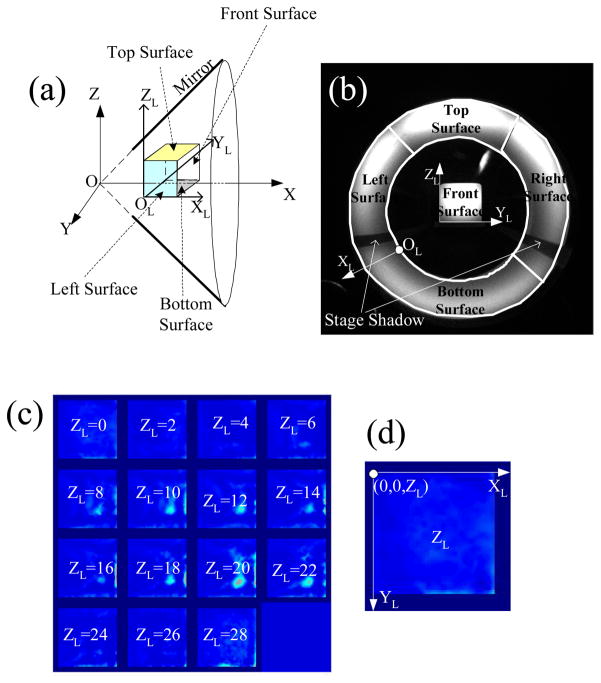 Fig. 9