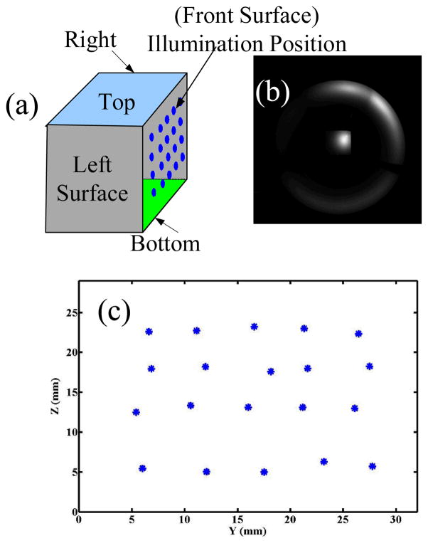 Fig. 8