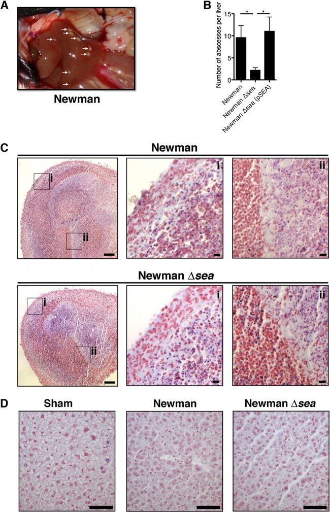 FIG 6