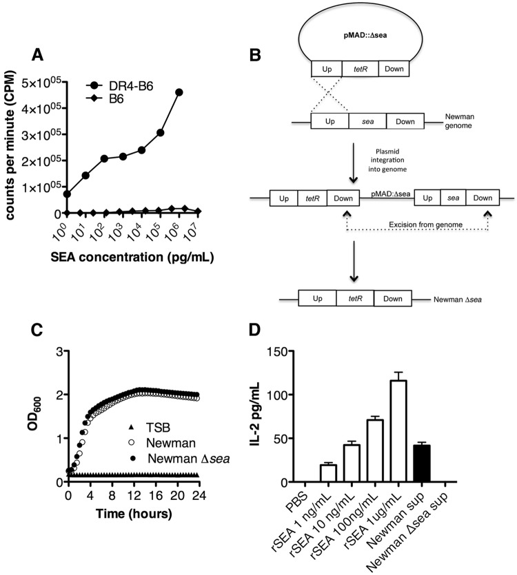 FIG 1