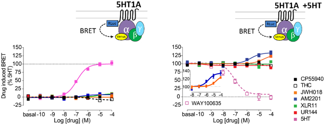 graphic file with name nihms-1717409-f0001.jpg