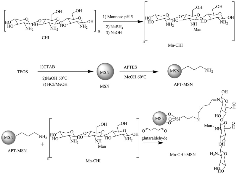 Scheme 3.