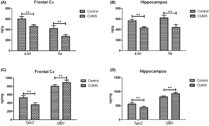 FIGURE 4