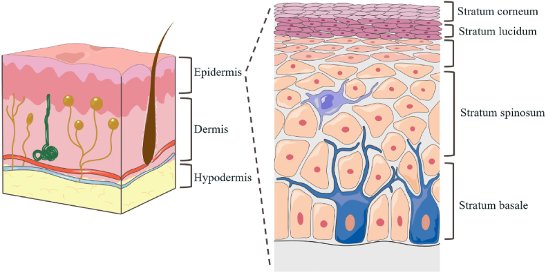 Figure 2