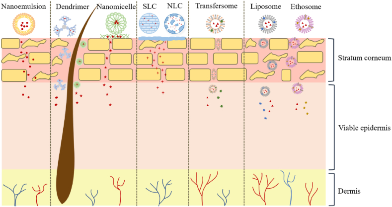 Figure 6