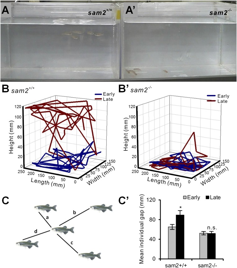 Fig. 4.