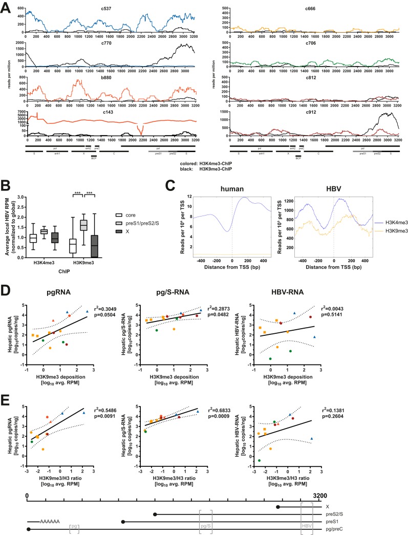 FIG 6