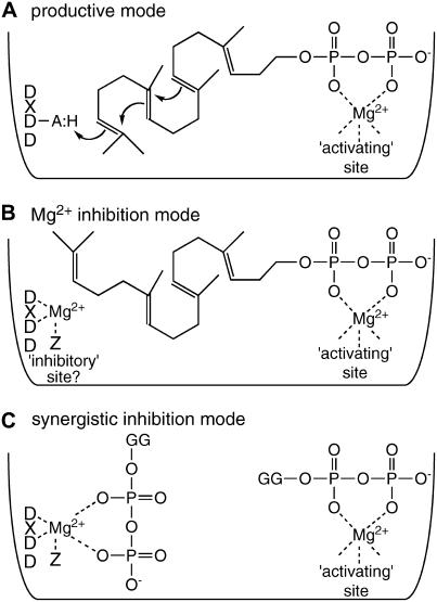 Figure 7.