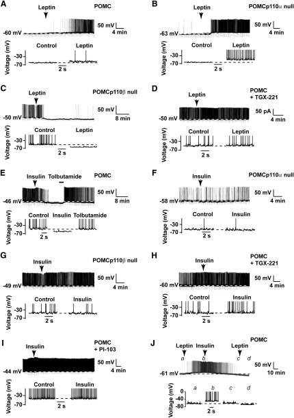 Figure 5