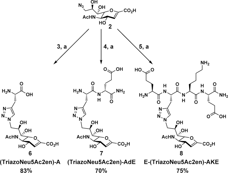 Scheme 2.