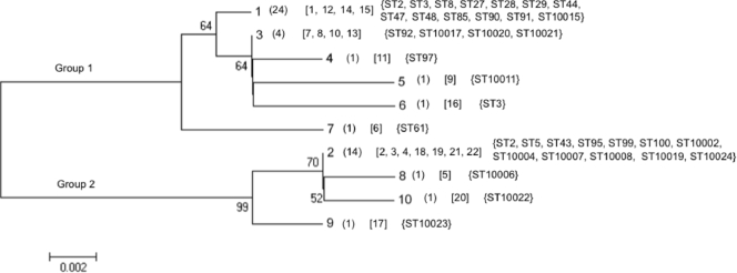 FIG. 1.