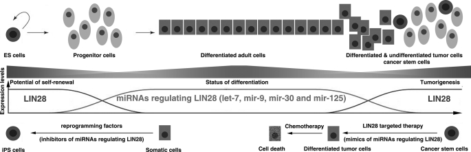 FIGURE 7.