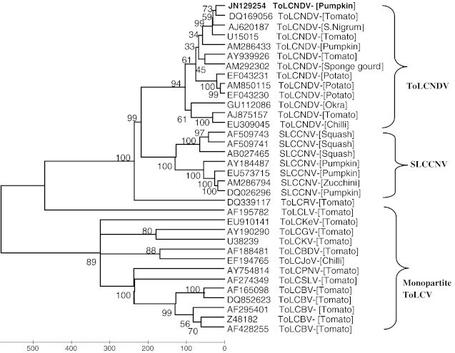 Fig. 2