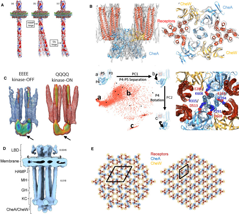 Figure 3.