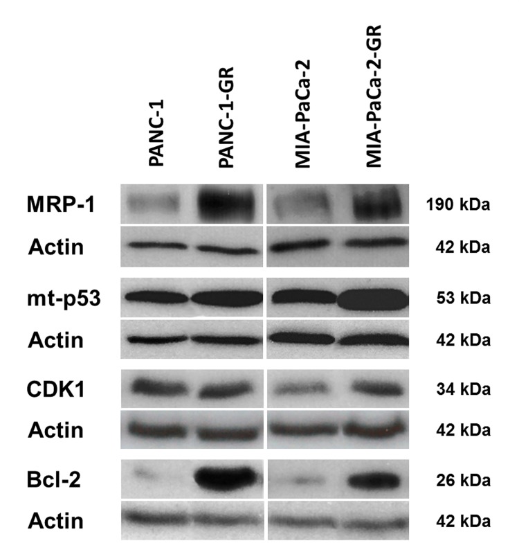 Fig 8