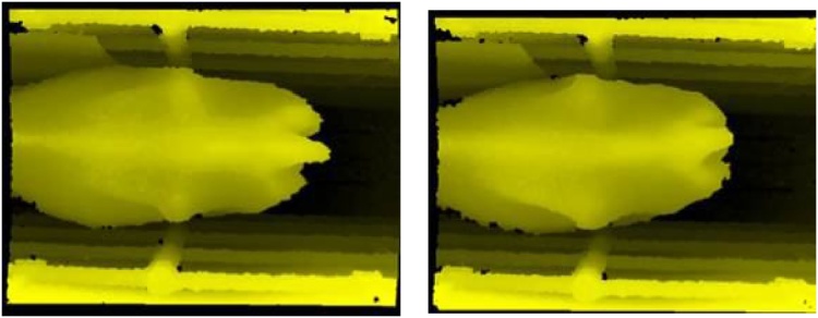 Fig. 7