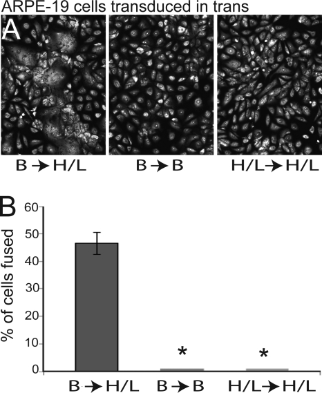 FIG. 8.