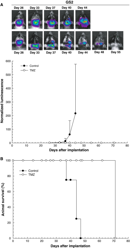 Fig. 4