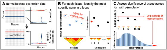 Figure 1