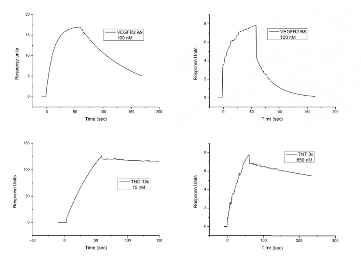 Figure 3—figure supplement 1.