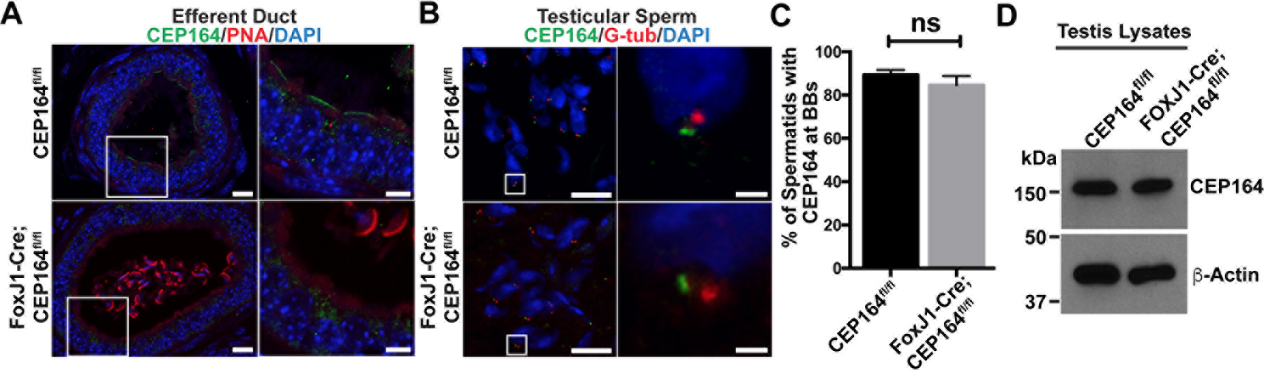 Fig 4.