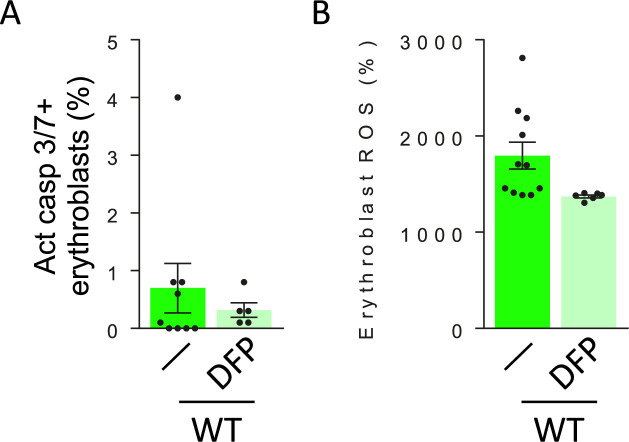 Figure 3—figure supplement 4.