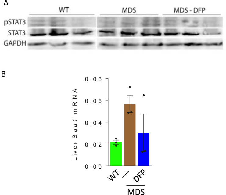 Figure 1—figure supplement 5.