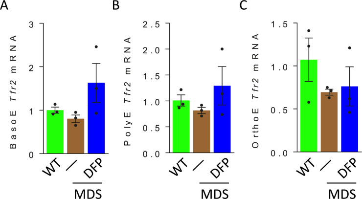 Figure 7—figure supplement 1.