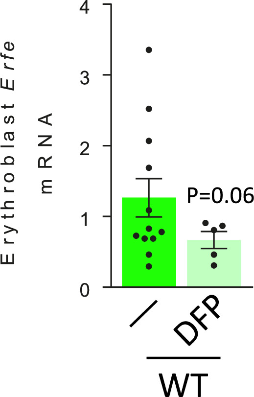 Figure 1—figure supplement 6.