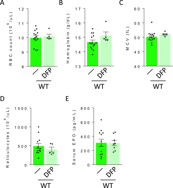 Figure 3—figure supplement 2.