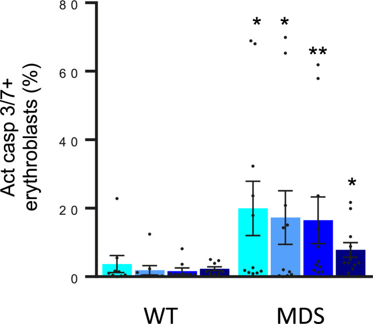 Figure 1—figure supplement 1.