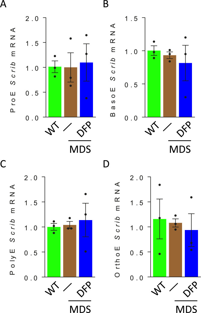 Figure 7—figure supplement 2.