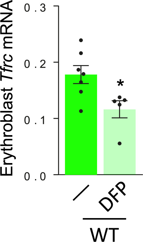 Figure 6—figure supplement 2.