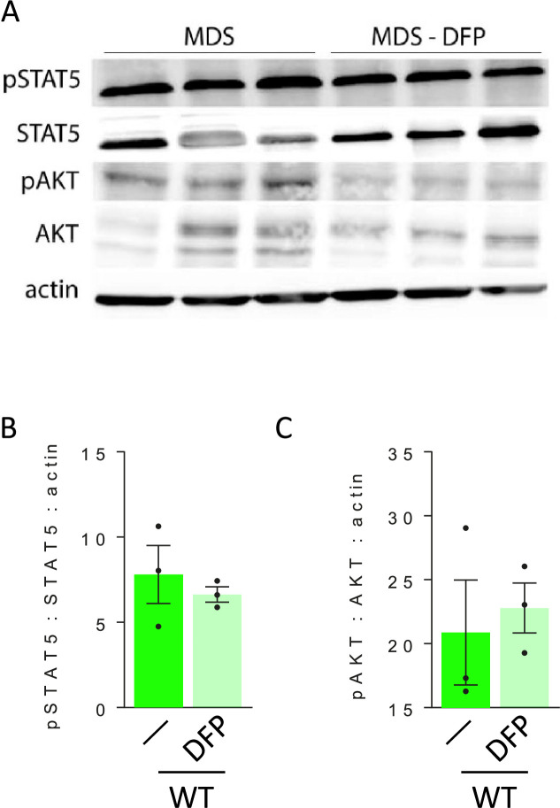 Figure 4—figure supplement 2.