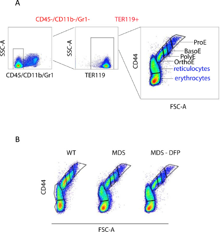 Figure 3—figure supplement 6.