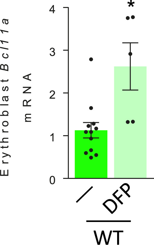 Figure 4—figure supplement 1.