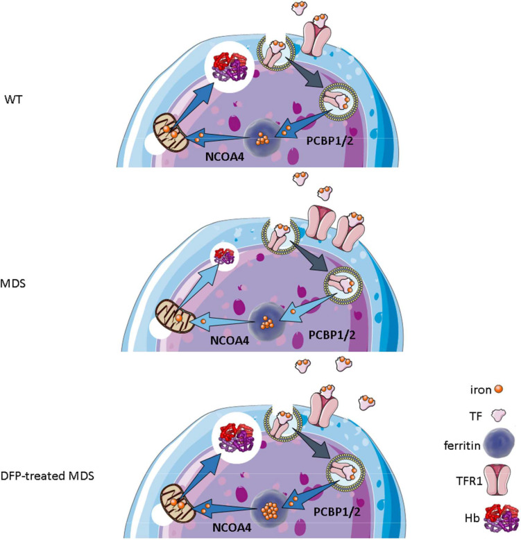 Figure 10.